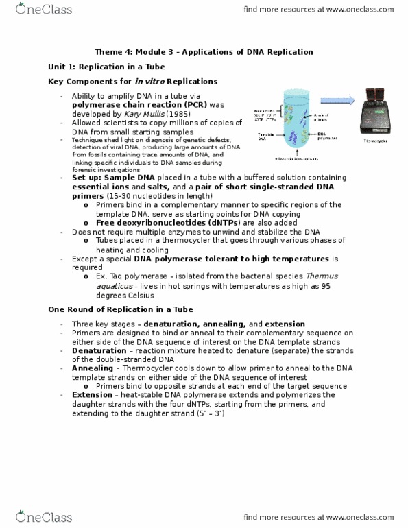 BIOLOGY 1A03 Lecture Notes - Lecture 4: The Sequence, Transfer Rna, Base Pair thumbnail