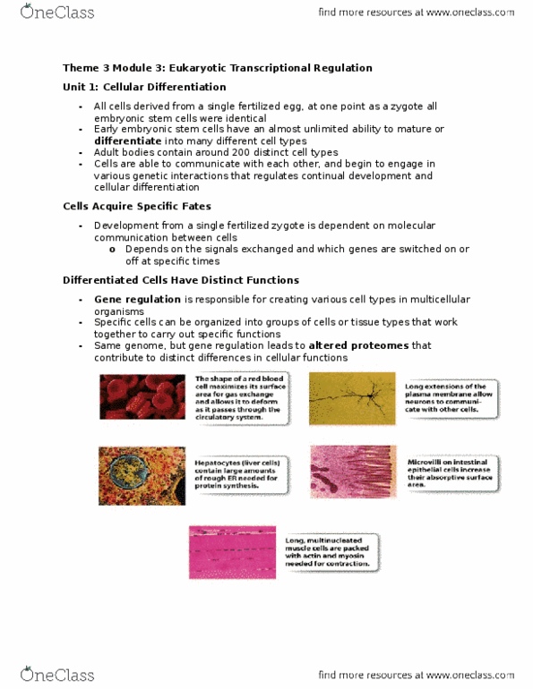 BIOLOGY 1A03 Lecture Notes - Lecture 3: Hemoglobin, Cell Membrane, Globin thumbnail