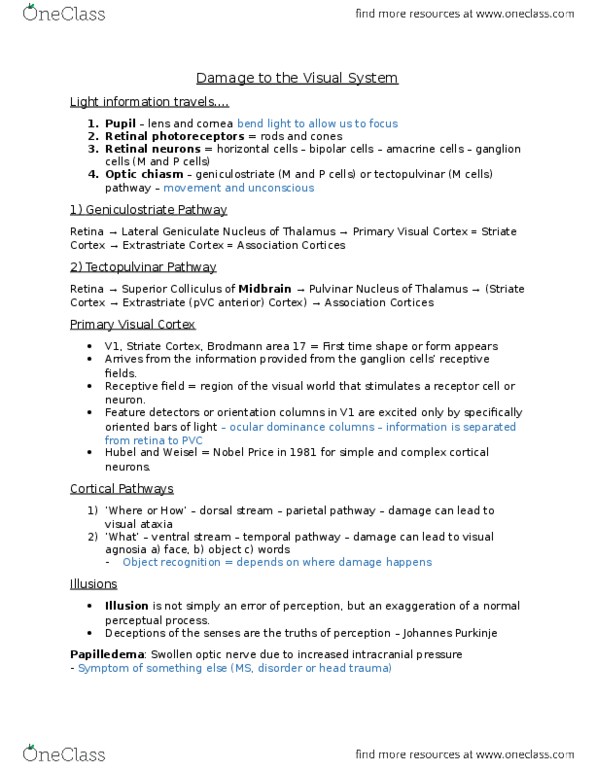 PSY 3301 Lecture Notes - Lecture 3: Amacrine Cell, Brodmann Area, Visual Cortex thumbnail