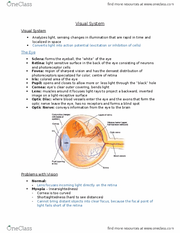 PSY 3301 Lecture Notes - Lecture 2: Optic Disc, Optic Nerve, Color Vision thumbnail