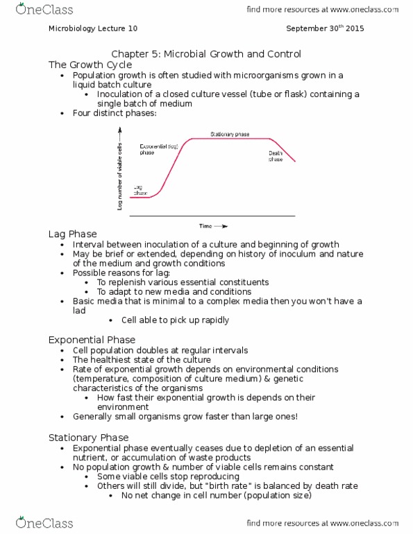 BIOL 2P98 Lecture Notes - Lecture 10: Exponential Growth, Nutrient, Small Cell thumbnail