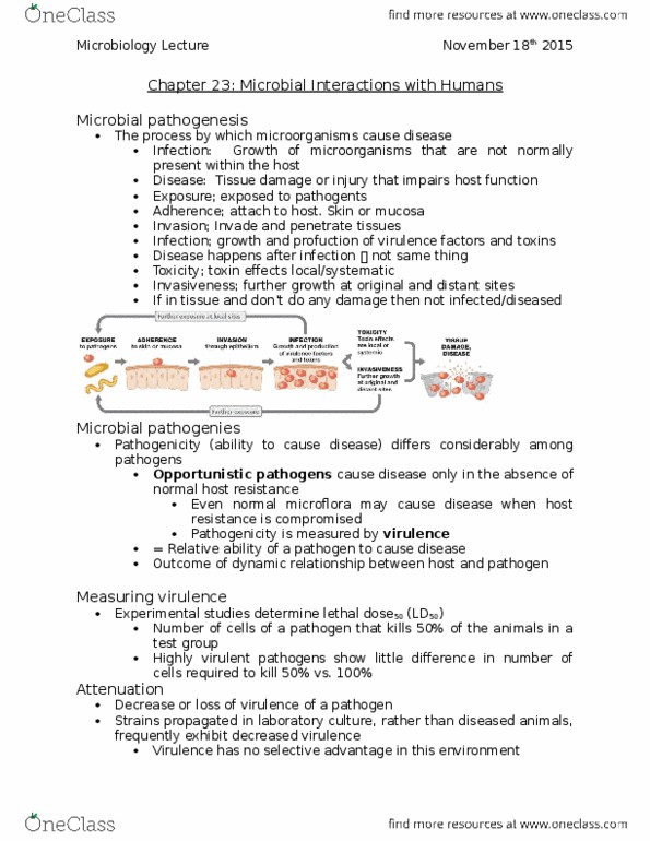 BIOL 2P98 Lecture Notes - Lecture 18: Microorganism, Dental Caries, Bacteremia thumbnail