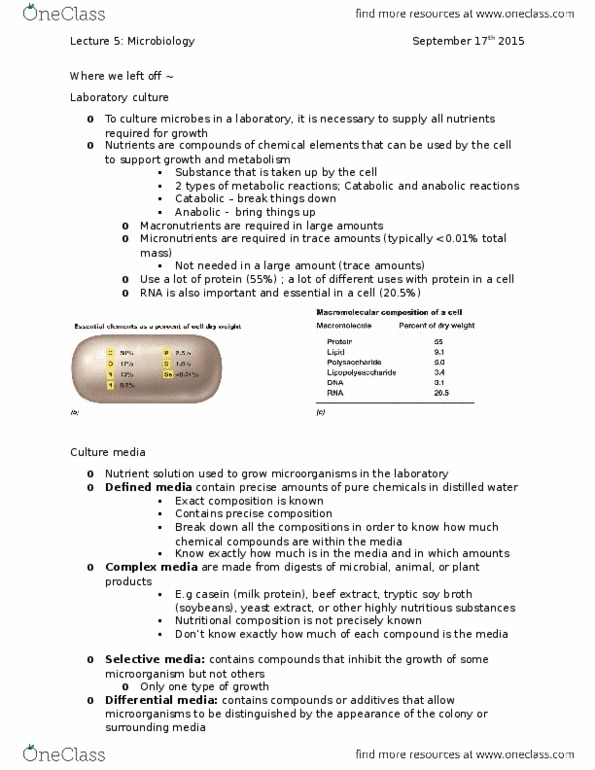 BIOL 2P98 Lecture Notes - Lecture 5: Gram-Positive Bacteria, Hydrolysis, Isoprene thumbnail