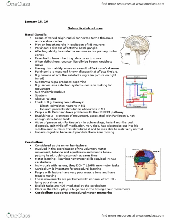 Kinesiology 1080A/B Lecture Notes - Lecture 7: Stroke, Tral, Postcentral Gyrus thumbnail