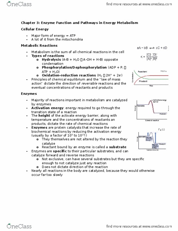 BIOLOGY 2A03 Chapter Notes - Chapter 3: Oxidative Phosphorylation, Covalent Bond, Reaction Rate thumbnail