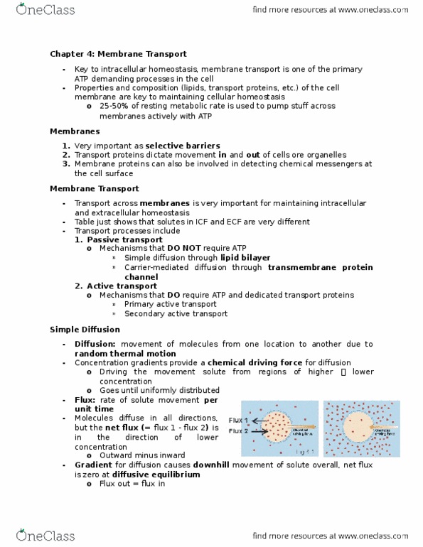 BIOLOGY 2A03 Chapter 4: Chapter 4 Membrane Transport thumbnail