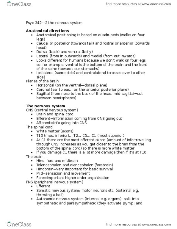 PSYC 342 Lecture Notes - Lecture 3: Somatic Nervous System, Peripheral Nervous System, Autonomic Nervous System thumbnail