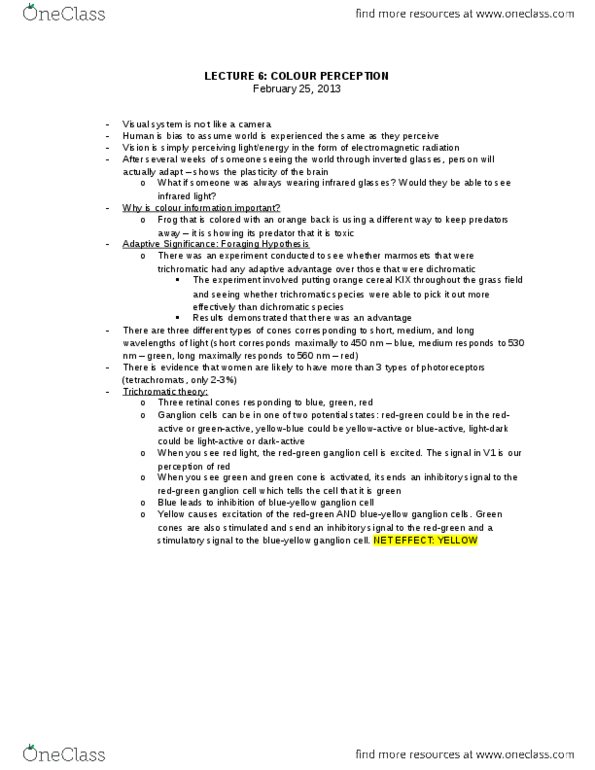 PSYCH 1XX3 Lecture Notes - Lecture 6: Visual System, Lightdark thumbnail