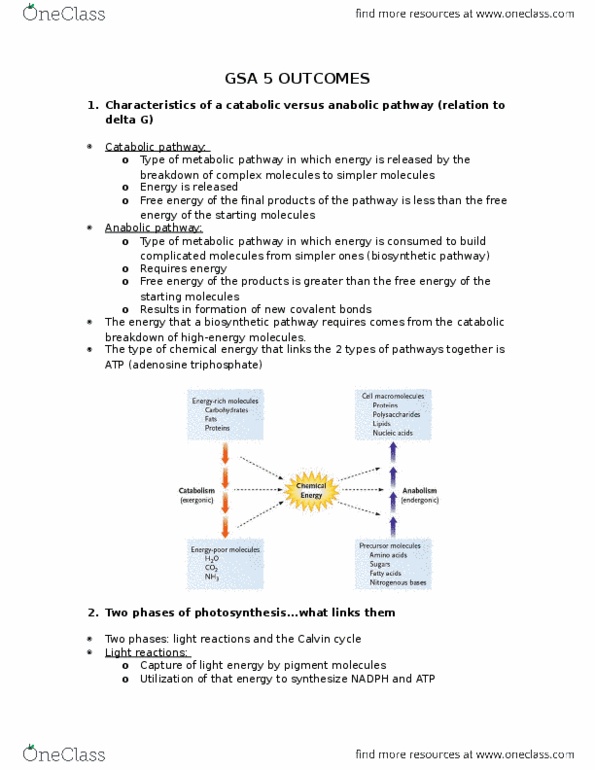 Biology 1002B Chapter Notes - Chapter 4.4, 7.1b, 7.2: Catabolism, Radiant Energy, Anabolism thumbnail