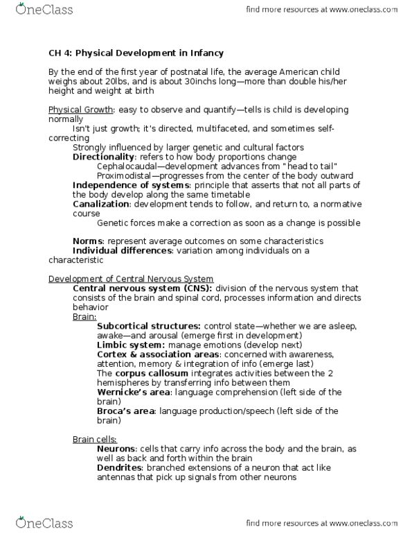 PSY 223 Lecture Notes - Lecture 4: Synaptic Pruning, Moro Reflex, Myelin thumbnail