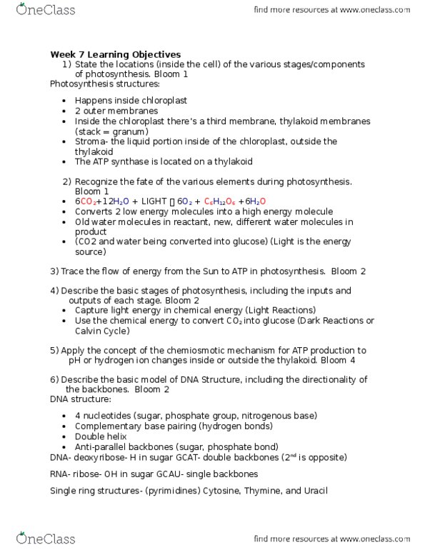 BIOL 1201 Lecture Notes - Lecture 3: Atp Synthase, Thylakoid, Chloroplast thumbnail