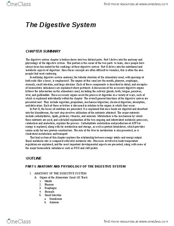 BSCI 202 Lecture Notes - Lecture 7: Basal Metabolic Rate, Cleft Lip And Cleft Palate, Carbohydrate Metabolism thumbnail