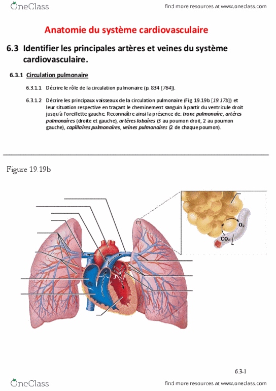 document preview image