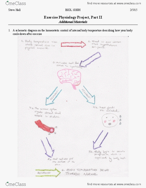 document preview image