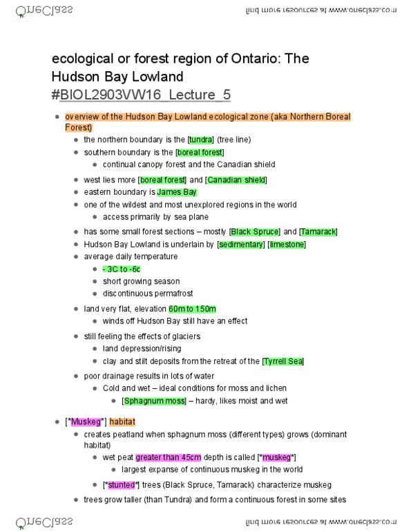 BIOL 2903 Lecture 5: Hudson Bay Lowland Ecological Region thumbnail