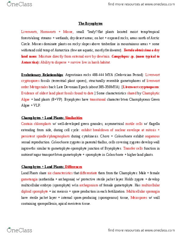 BIOL 2P93 Lecture Notes - Lecture 7: Cashel Man, Grauballe Man, Acne Vulgaris thumbnail