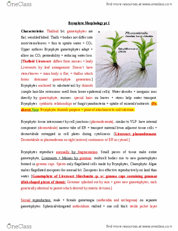 BIOL 2P93 Lecture Notes - Lecture 8: Bryophyte, Cytosol, Germination thumbnail