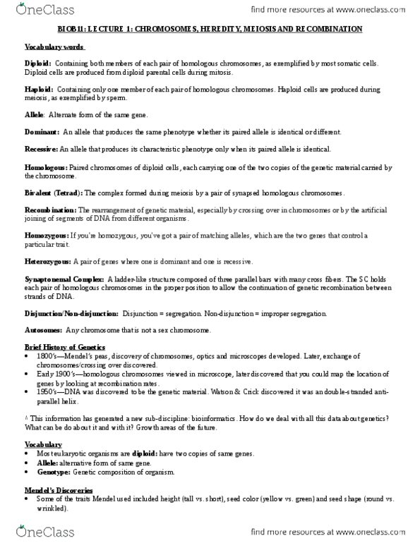 BIOB11H3 Lecture Notes - Lecture 1: Punnett Square, Metaphase, Telophase thumbnail