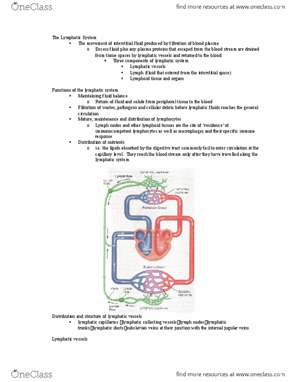 ANP 1105 Lecture 10: LYMPHATIC SYSTEM thumbnail