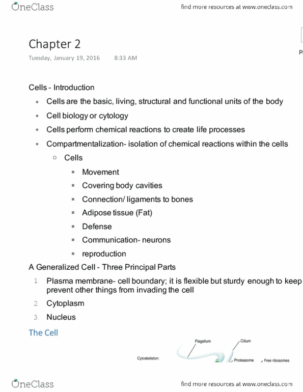KIN 2500 Lecture Notes - Lecture 3: Endoplasmic Reticulum, Cell Membrane, Long-Distance Running thumbnail