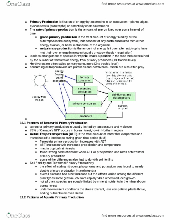 BIOLOGY 2F03 Chapter Notes - Chapter 19: Primary Production, Chemotroph, Cyanobacteria thumbnail