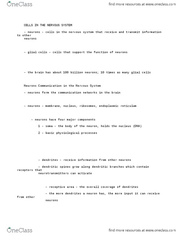 PSYC62H3 Chapter Notes - Chapter 2: Somatic Nervous System, Autonomic Nervous System, Peripheral Nervous System thumbnail