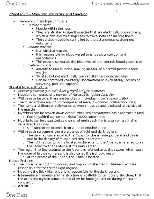 KINE 1020 Chapter Notes - Chapter 17: Intermediate Filament, Myocyte, Cardiac Muscle thumbnail