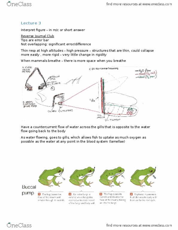 BIO202H5 Lecture Notes - Lecture 3: Journal Club, Error Bar, Hemolymph thumbnail