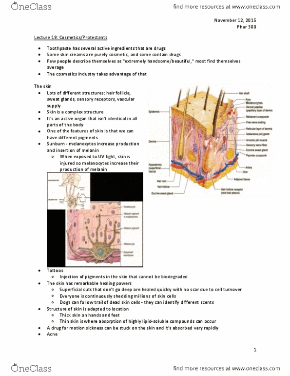 document preview image