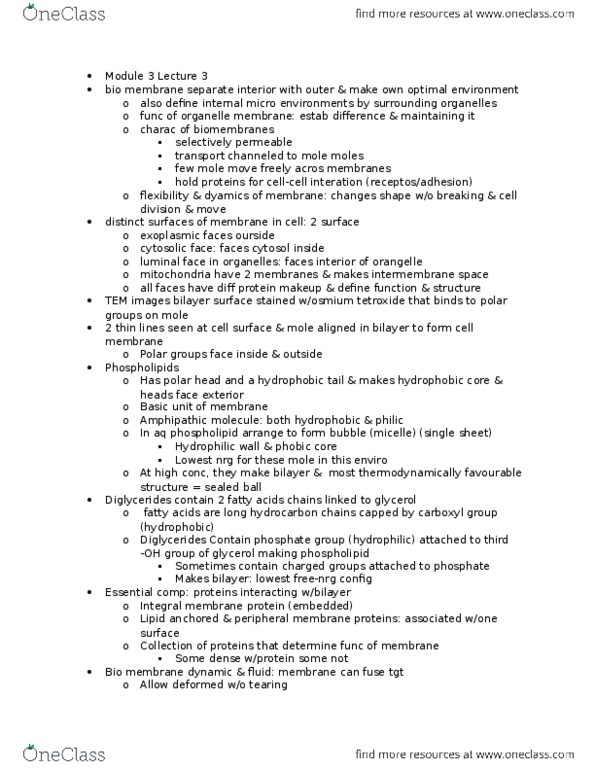 BIOLOGY 2B03 Lecture Notes - Lecture 3: Lipid Bilayer, Integral Membrane Protein, Fluid Mosaic Model thumbnail