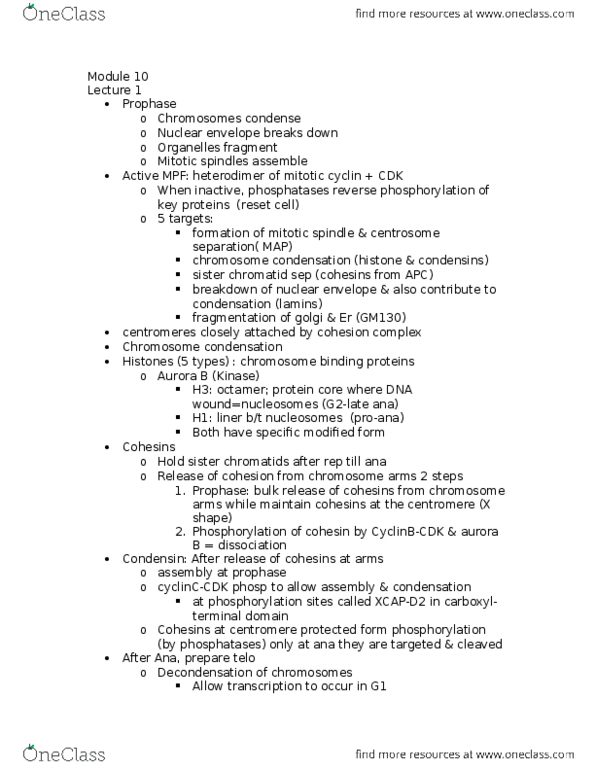 BIOLOGY 2B03 Lecture Notes - Lecture 10: Serum Response Factor, Cyclin D, Cyclin B thumbnail