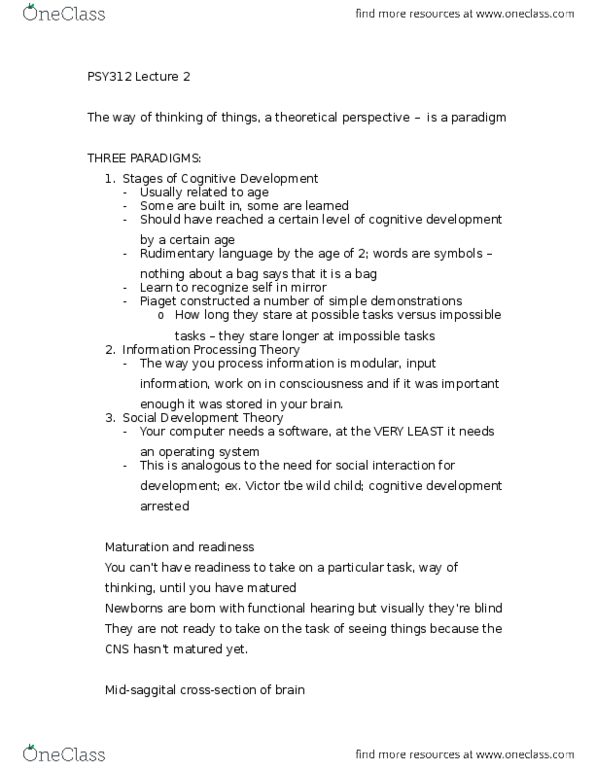 PSY312H5 Lecture Notes - Lecture 2: Substantia Nigra, Inferior Colliculus, Superior Colliculus thumbnail