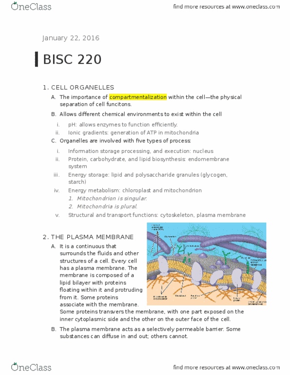 BISC 220Lg Lecture Notes - Lecture 5: Endoplasmic Reticulum, Nuclear Pore, Nuclear Membrane thumbnail