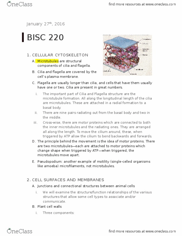BISC 220Lg Lecture Notes - Lecture 7: Cell Wall, Lipid Bilayer, Extracellular Fluid thumbnail