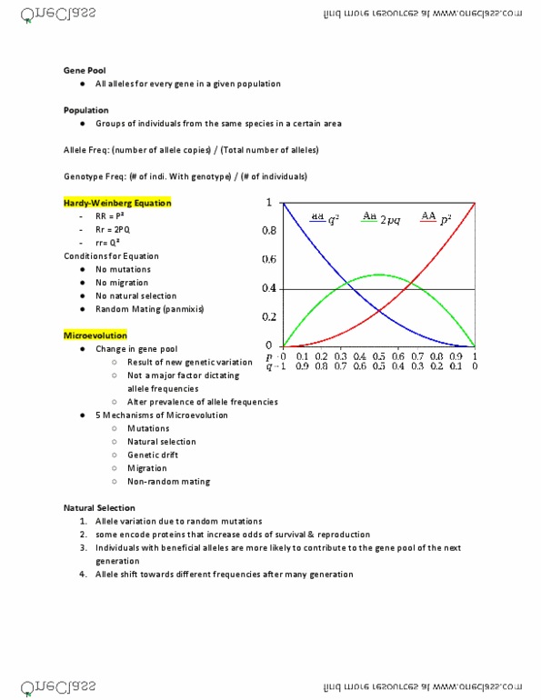 BIOL 1F90 Lecture Notes - Lecture 23: Sickle-Cell Disease, Allele Frequency, Panmixia thumbnail