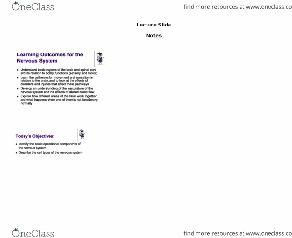 Health Sciences 3300A/B Lecture Notes - Lecture 1: Axon Hillock, Autonomic Nervous System, Synapse thumbnail