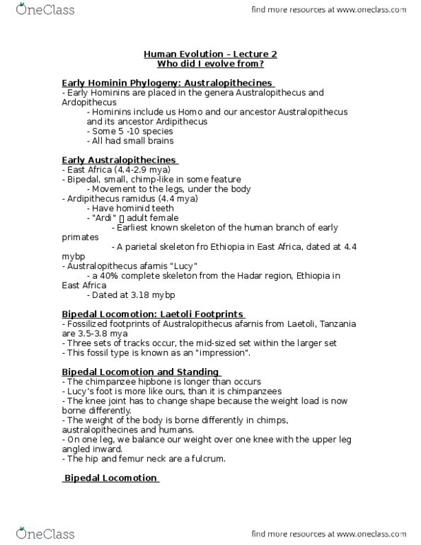 BIOL359 Lecture Notes - Lecture 2: Gluteus Maximus Muscle, Femur Neck, Australopithecine thumbnail