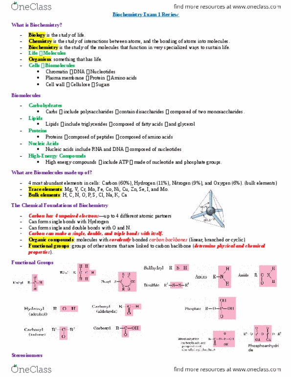 Valid MB-310 Test Syllabus