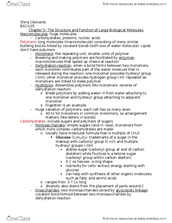 BSCI 105 Chapter Notes - Chapter 5: Alpha Helix, Dehydration Reaction, Hydrogen Bond thumbnail