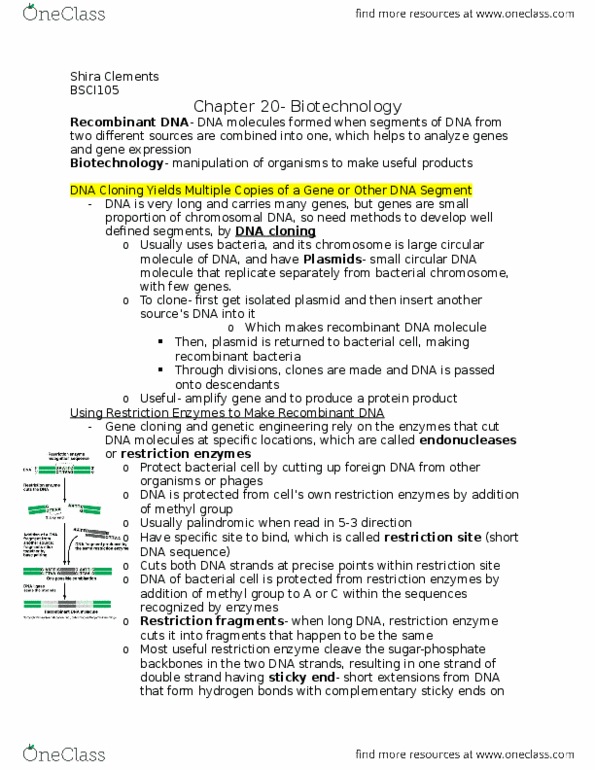 BSCI 105 Chapter Notes - Chapter 20: Bacterial Artificial Chromosome, Recombinant Dna, Dna Ligase thumbnail