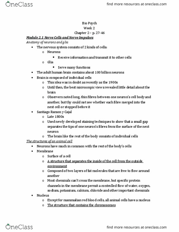 PSY 324 Chapter Notes - Chapter 2: Radial Glial Cell, Endothelium, Motor Neuron thumbnail