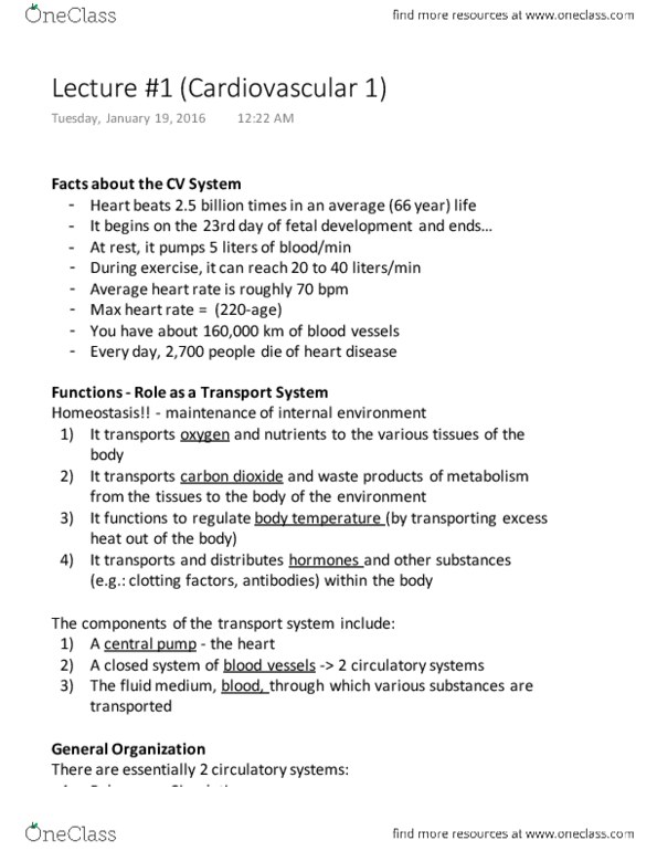 Physiology 3120 Lecture Notes - Lecture 1: Inferior Vena Cava, Pulmonary Artery, Superior Vena Cava thumbnail