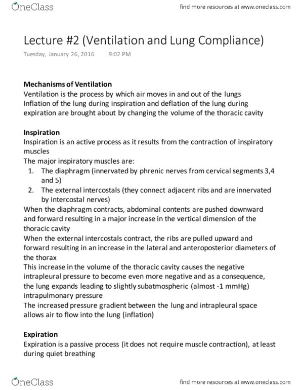 Physiology 3120 Lecture Notes - Lecture 2: Pulmonary Compliance, Intrapleural Pressure, Rectus Abdominis Muscle thumbnail