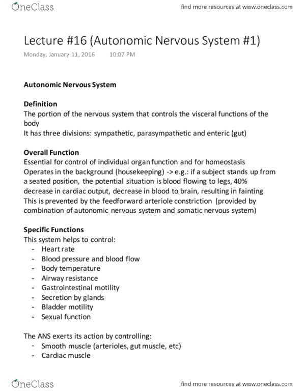 Physiology 3120 Lecture Notes - Lecture 16: Autonomic Nervous System, Adrenal Medulla, Somatic Nervous System thumbnail