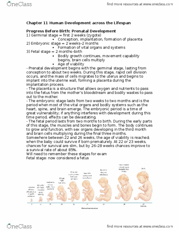 PSYC 1002 Lecture Notes - Lecture 11: Fetal Alcohol Spectrum Disorder, Prenatal Care, Nutrition And Pregnancy thumbnail