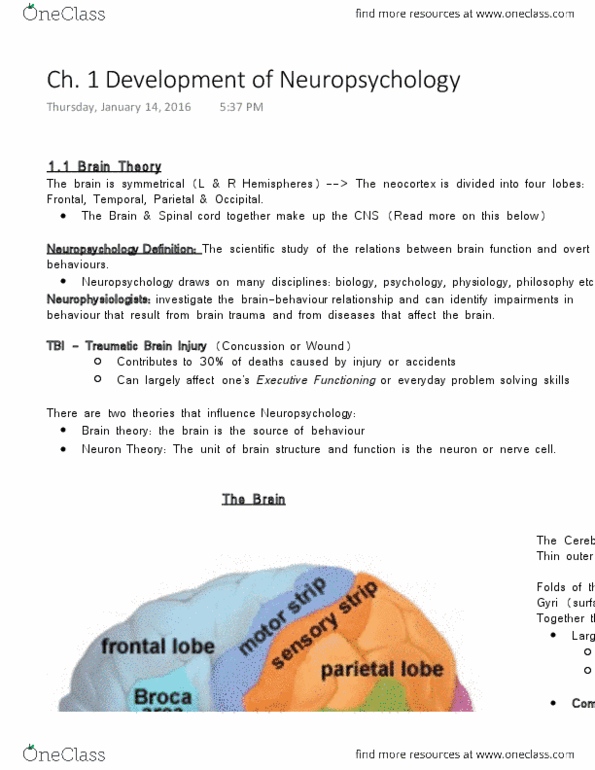 PSYCH 2NF3 Chapter Notes - Chapter 1: Frontal Lobe, Phineas Gage, Temporal Lobe thumbnail