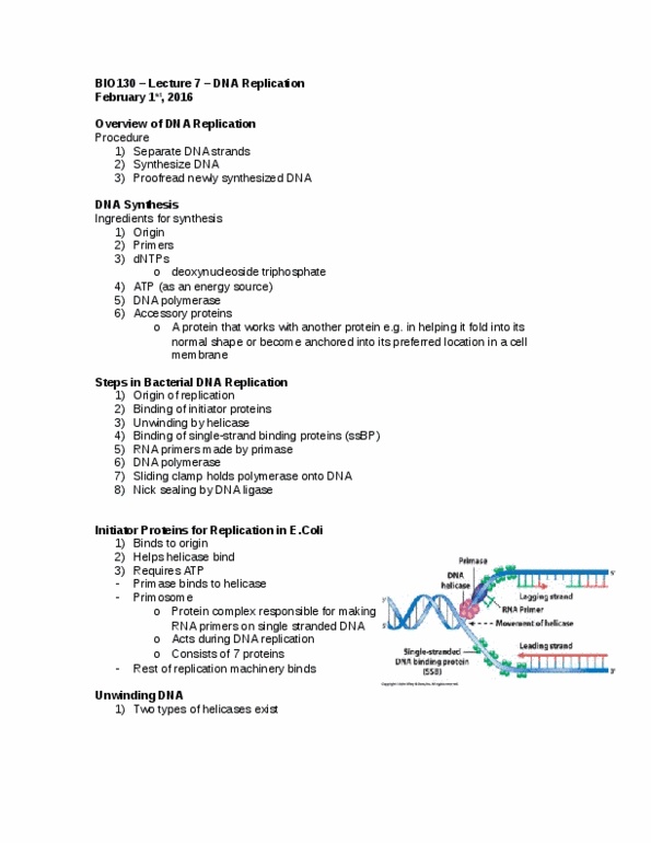 BIO130H1 Lecture Notes - Lecture 7: Helicase, Dna Replication, Dna Ligase thumbnail
