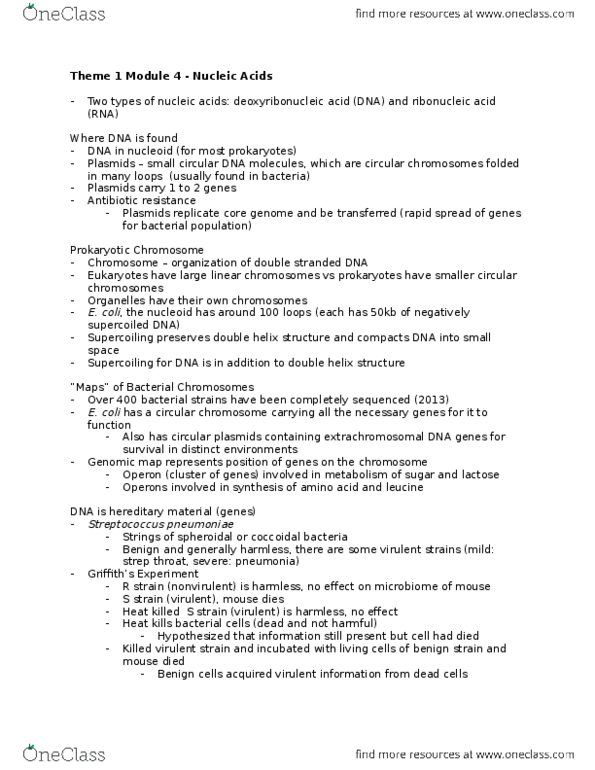 BIOLOGY 1A03 Lecture Notes - Lecture 3: Streptococcal Pharyngitis, Extrachromosomal Dna, Francis Crick thumbnail