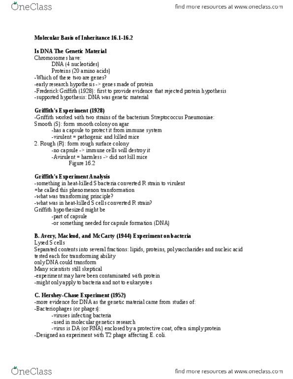 01:119:115 Lecture Notes - Lecture 4: Erwin Chargaff, Archibald Garrod, Dna Replication thumbnail