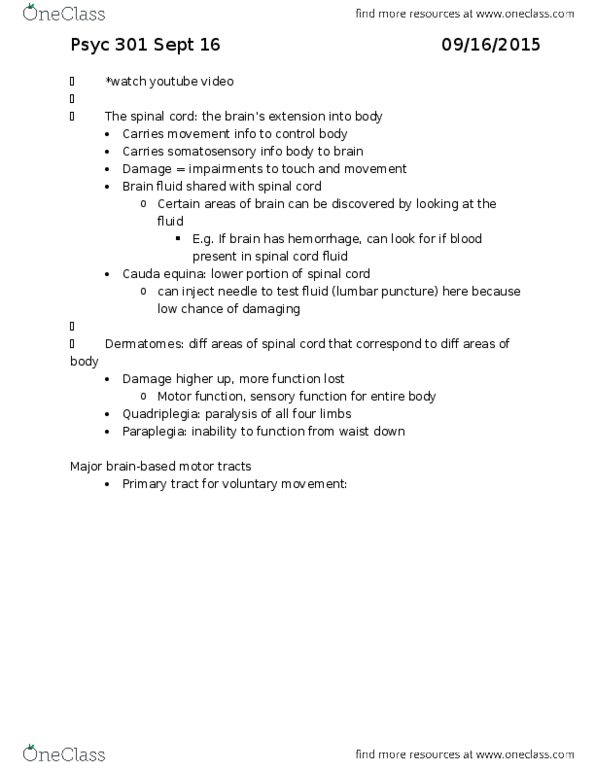 PSYC 301 Lecture Notes - Lecture 3: Corticospinal Tract, Auditory Cortex, Lumbar Puncture thumbnail